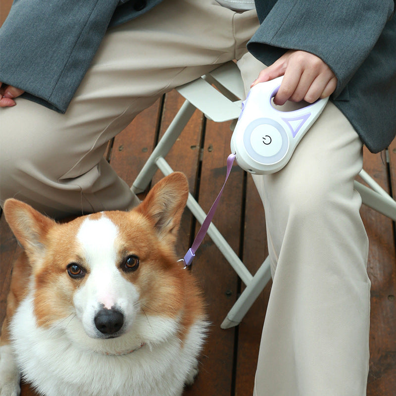 LED Retractable Dog Leash with Light – Automatic Pet Leash for Safe Night Walking
